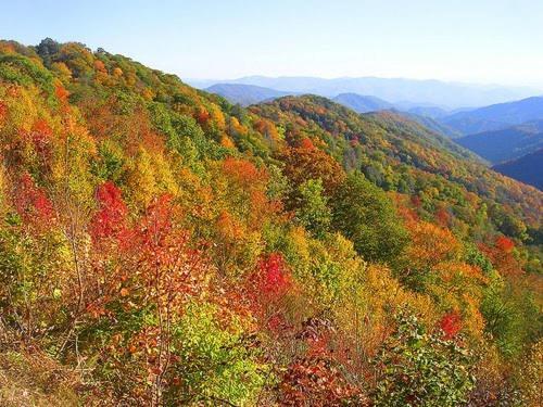 Dreams Come True With This Luxury Cabin! Gatlinburg Exterior foto